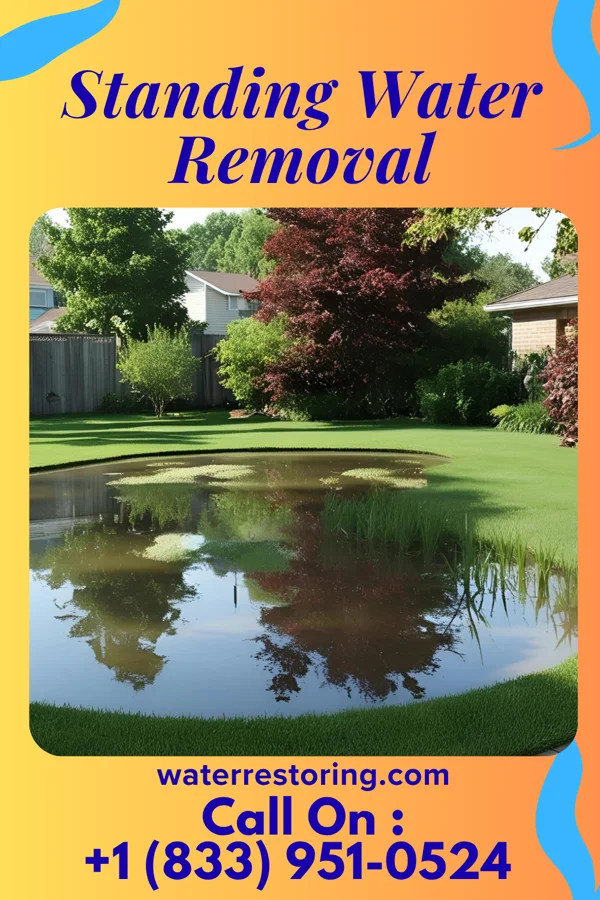 Standing Water Removal in Lawton, OK